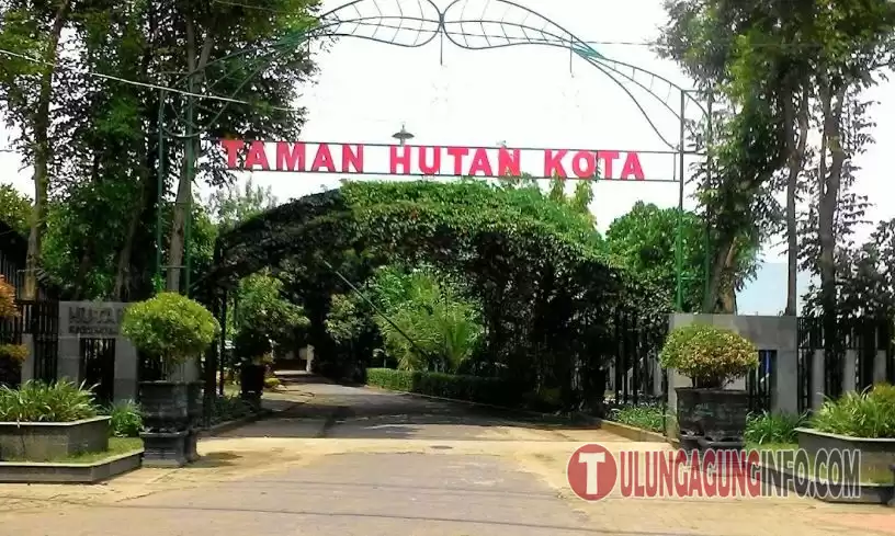 Taman Hutan Kota (Huko) Rekreasi Keluarga dan Wahana Bermain Anak