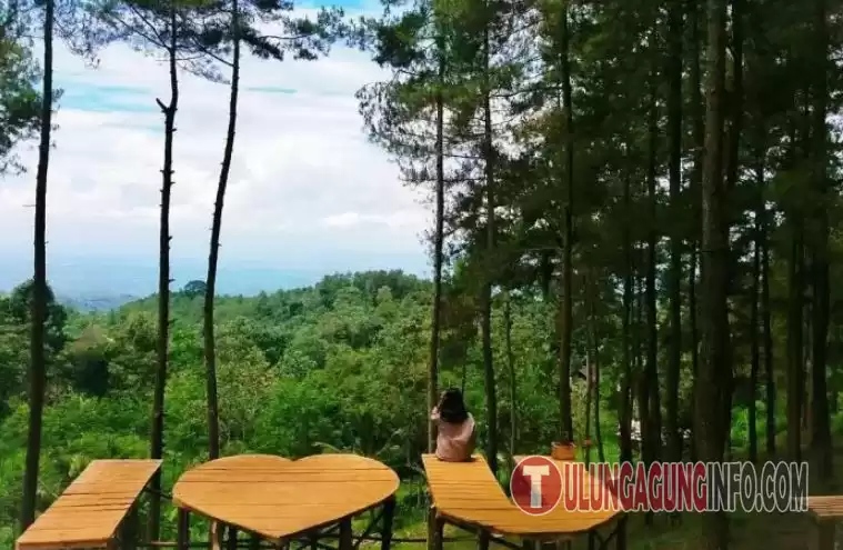 Jurang Senggani Sendang Tulungagung Nuansa Sejuk