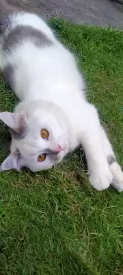 Koleksi Khanza Tulungagung