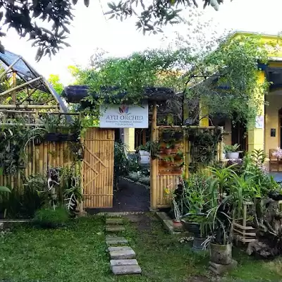Anggrek Ayu Orchid Tulungagung