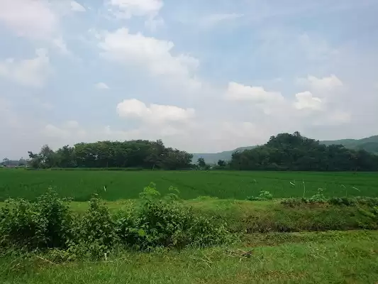 Gunung Kuncung Tulungagung