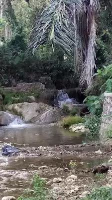 Sumber Beji Tulungagung