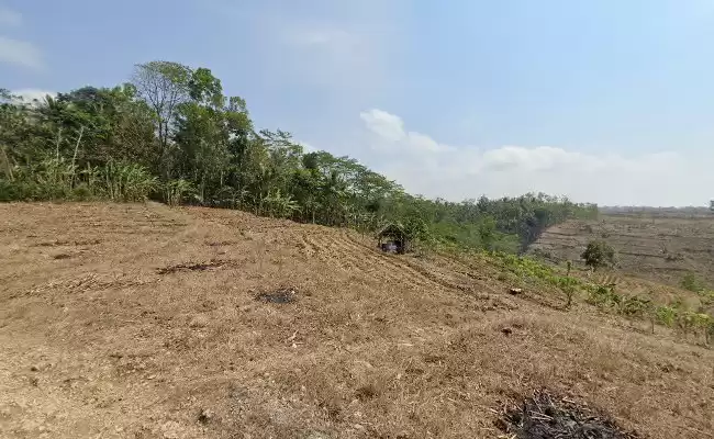 Tegal Mbah Sukadi Paerah Tulungagung