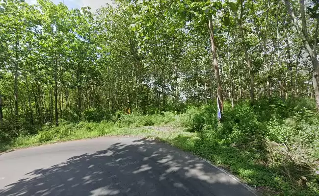 Tikungan Gajah Mungkur Tulungagung