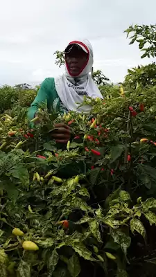 Toko Lestari Jaya 1 Tulungagung