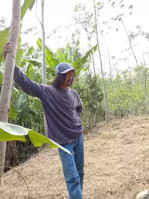 Wisata Cuban Ngoro Tulungagung