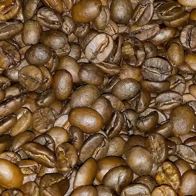 Benefit Coffee Tulungagung