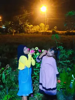 Ikan Hias Pak Mujiran Tulungagung