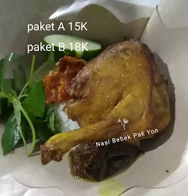 Nasi Bebek Pak Yon Tulungagung