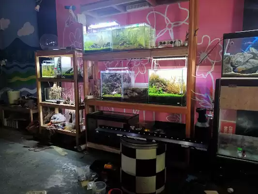 Aqua Violet Tulungagung