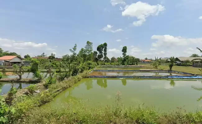 Cahya Souvenir Tulungagung