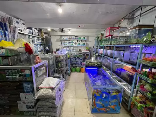 General Aquarium Tulungagung