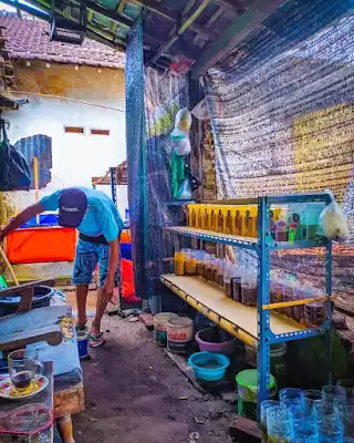 Gundoel Bettafish Tulungagung