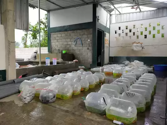 Kh~q Central Aquatic Tulungagung