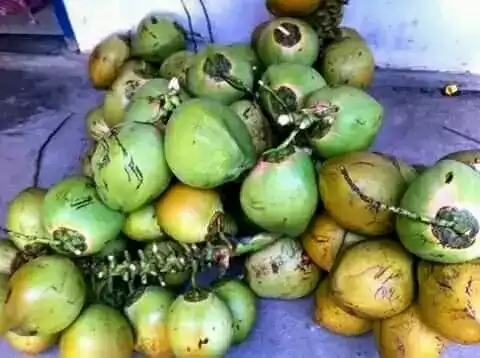 Rt Rw,01 03,duwet,wates,sumbergempol,tulungagung